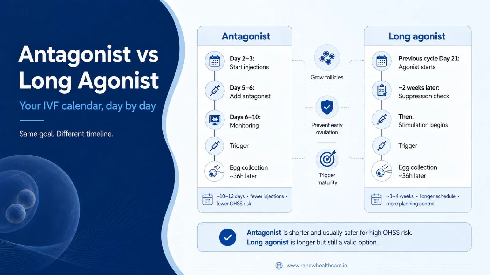 Antagonist vs Long Agonist Protocol: Your IVF Calendar, Day by Day