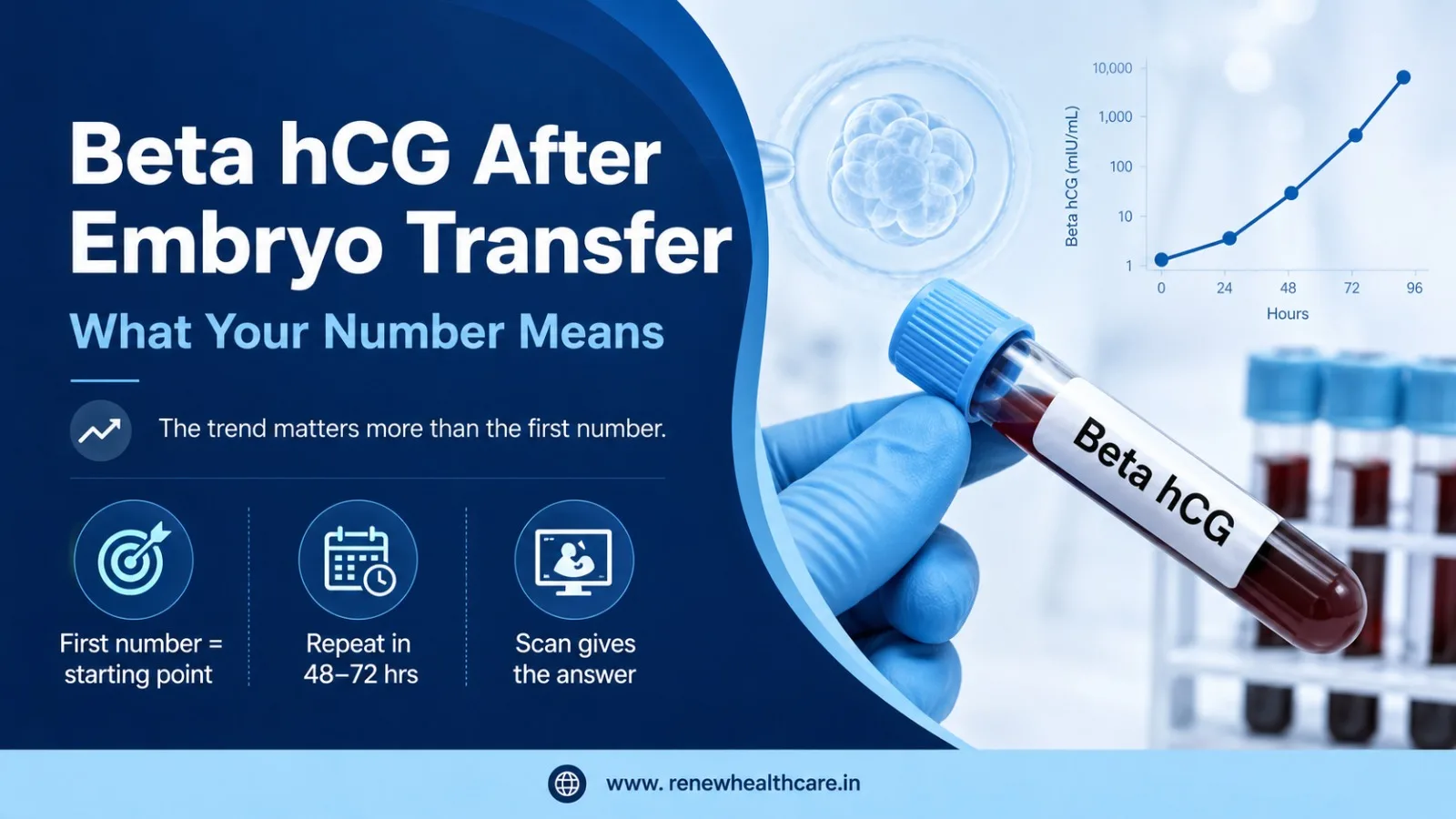 Beta hCG After Embryo Transfer: What Your Number Means (and What It Can't Tell You)