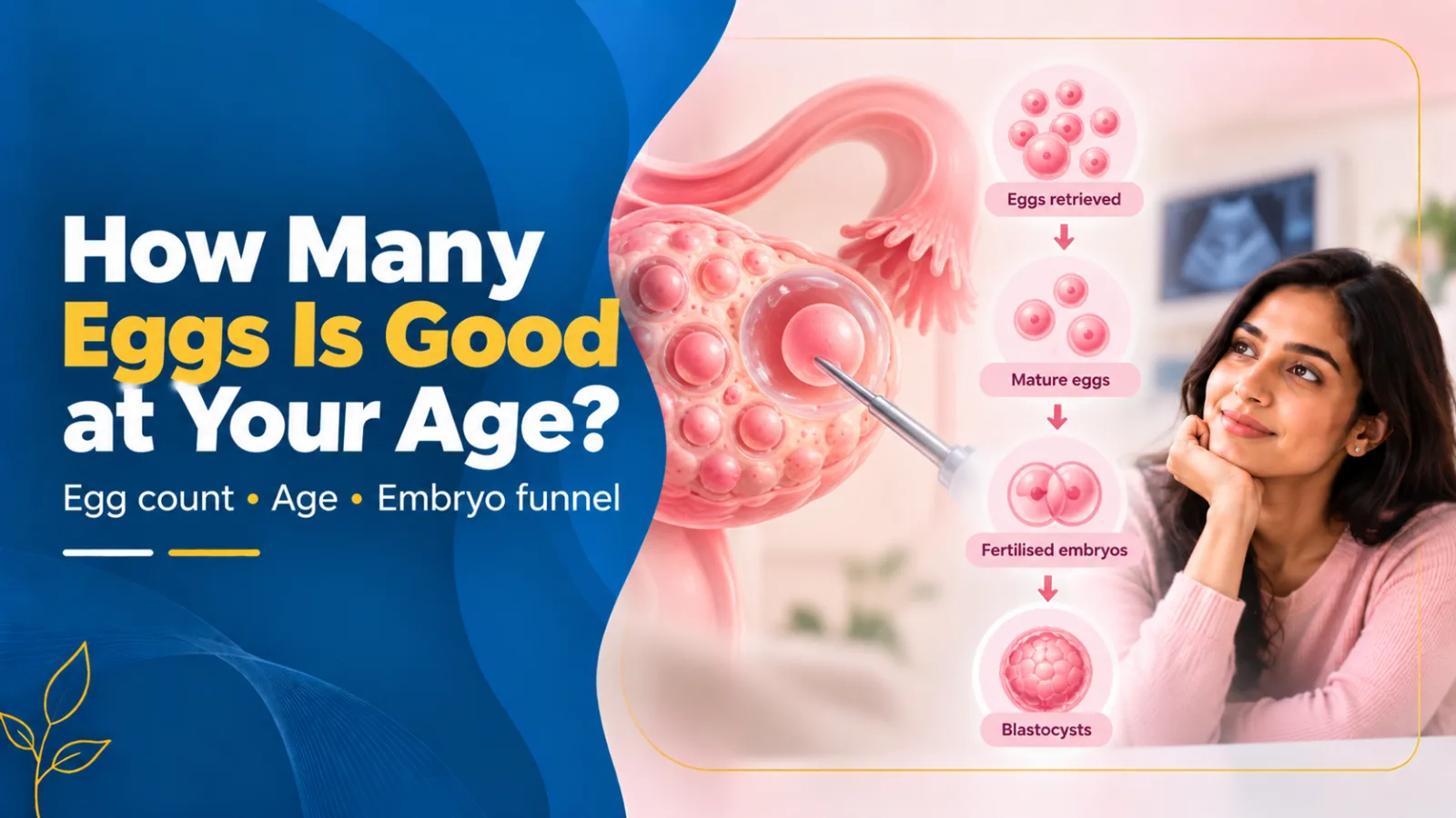 How Many Eggs Is a Good Number at Your Age?